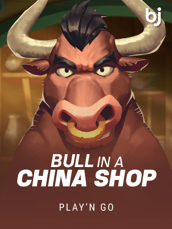 Bull in a China Shoppng